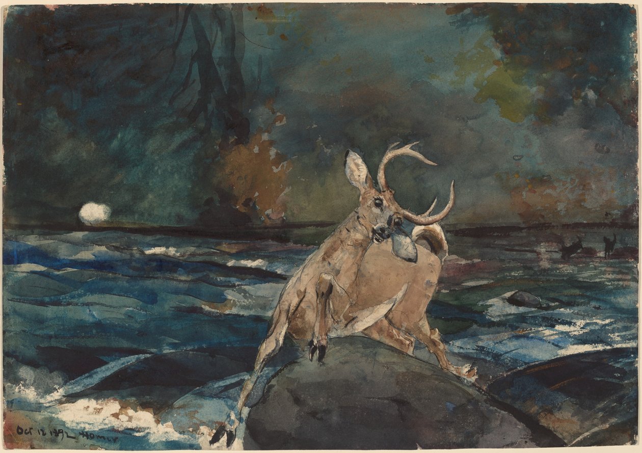 Ein guter Schuss, Adirondacks von Winslow Homer