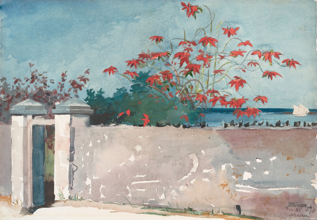 Eine Wand, Nassau, 1898 von Winslow Homer