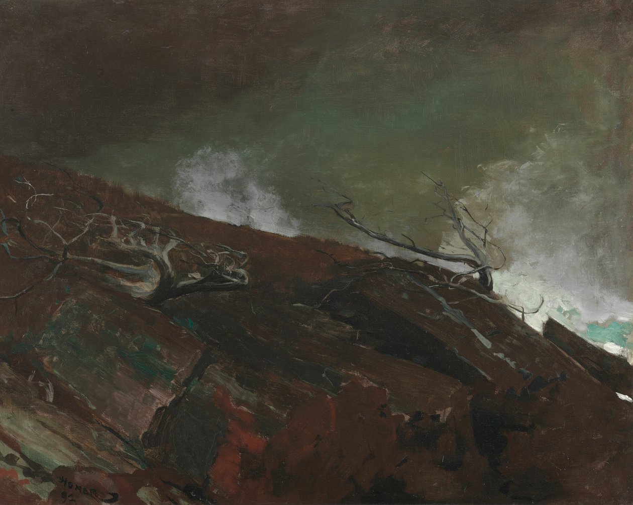 Küste von Maine, 1893 von Winslow Homer