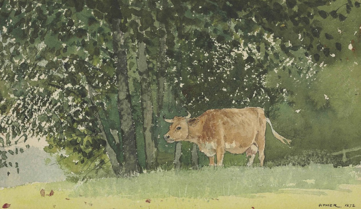 Kuh auf der Weide von Winslow Homer