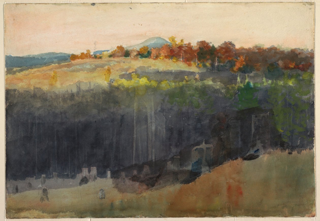 Tal und Berghang, Adirondacks, 1889–94 von Winslow Homer