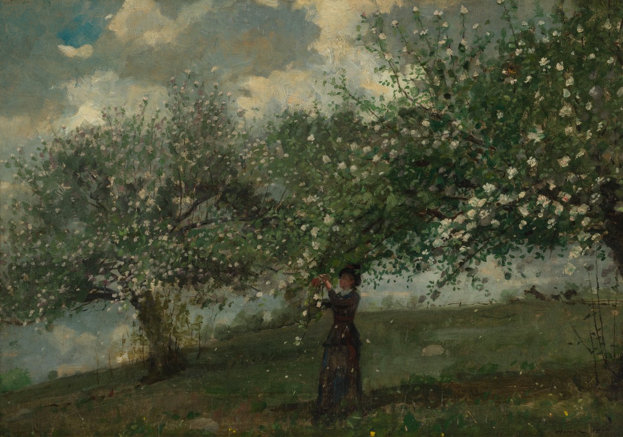 Mädchen, das Apfelblüten pflückt von Winslow Homer