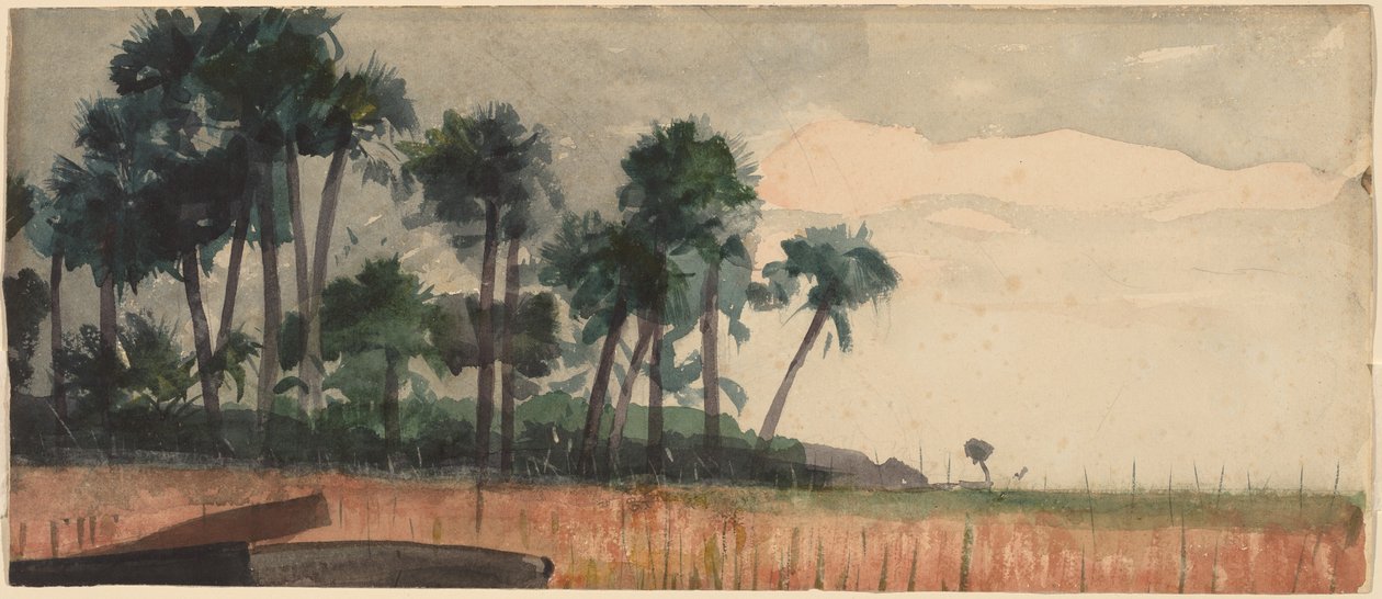 Palmen, rot von Winslow Homer