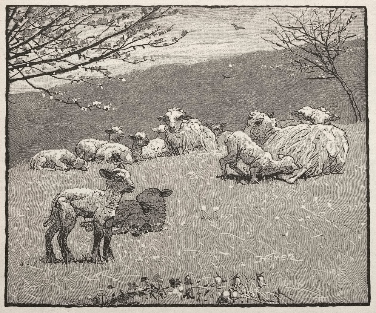 Frühlingslamm, 1880 von Winslow Homer