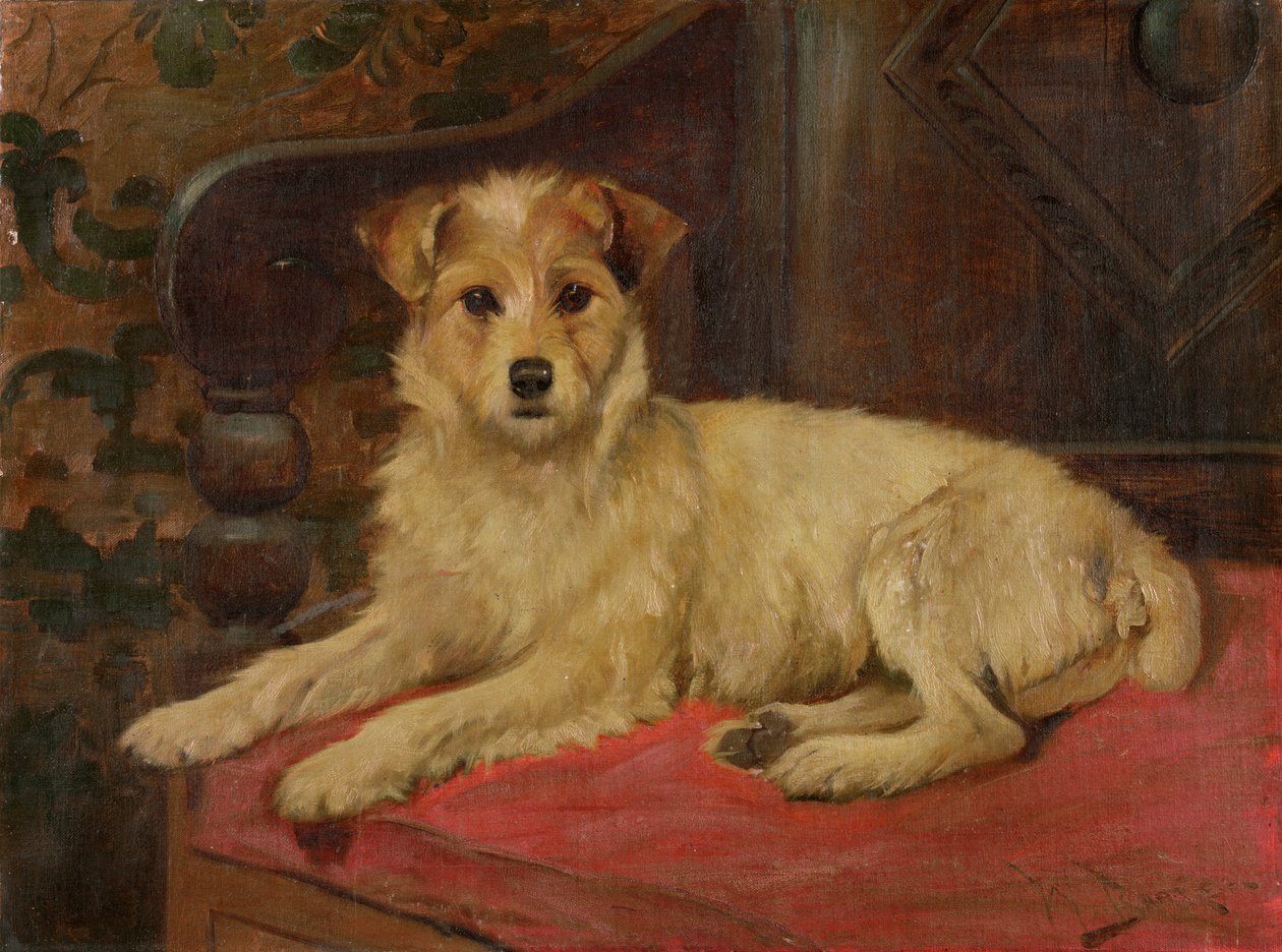 Ein Terrier auf einem Sofa von Wright Barker