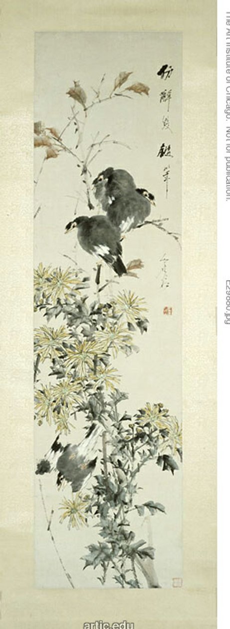 Haubenmainas und Chrysanthemen von Xugu