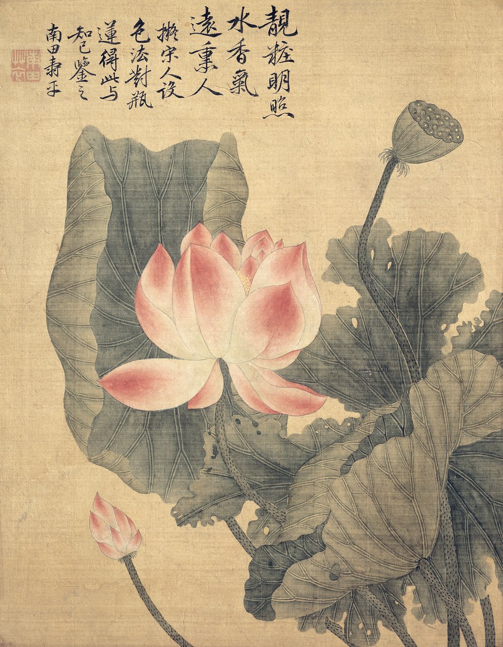 Pfingstrosen von Shouping Yun