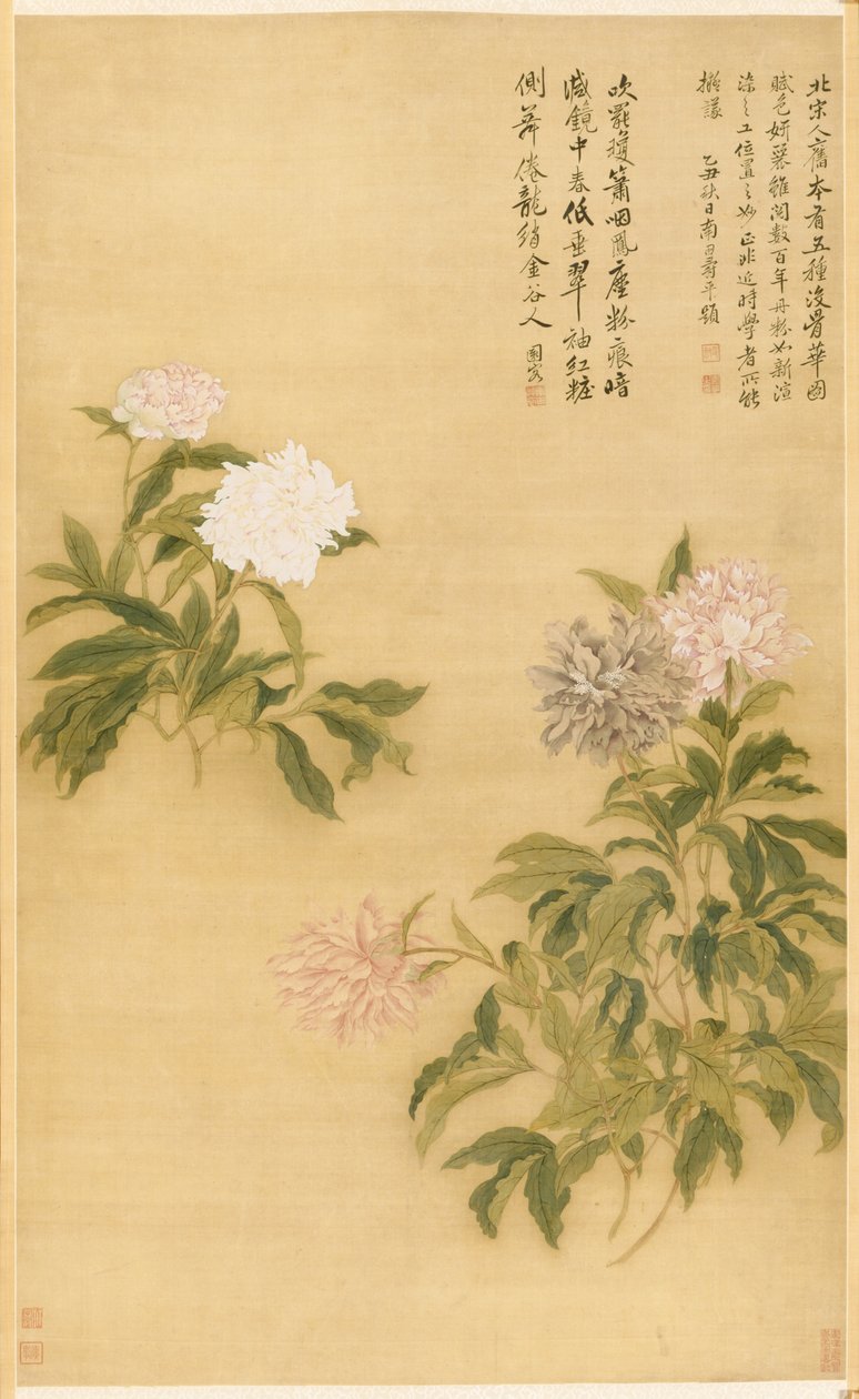Pfingstrosen von Shouping Yun