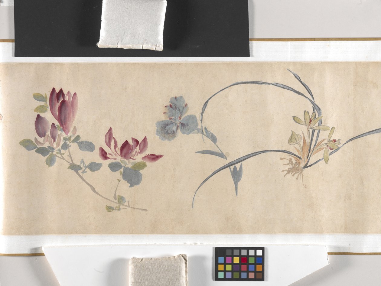 Farbige Blumen von Zhimian Zhou