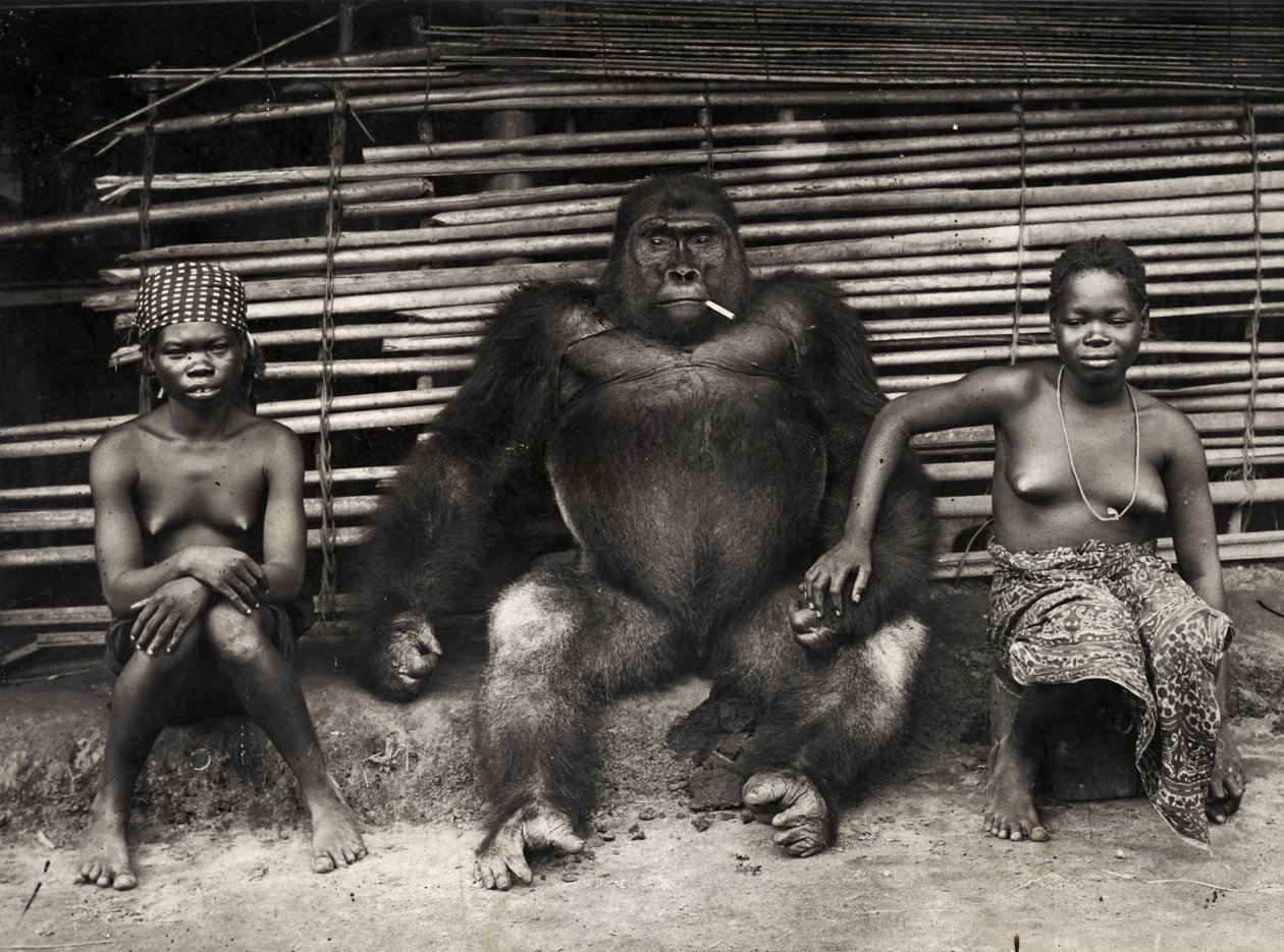 Gorilla (Gelatinesilberdruck) von Hippolyte Lalaise Devéria