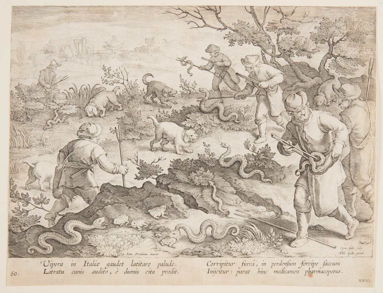 Schlangen jagen von after Jan van der Straet, called Stradanus