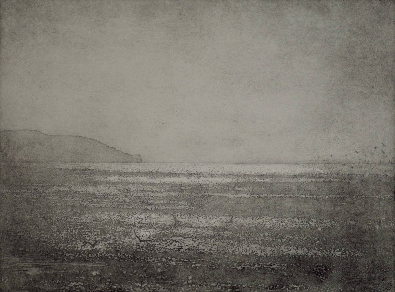Spiel von angus hampel