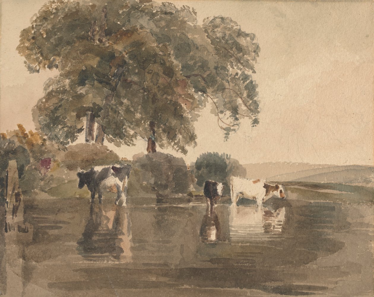 Kühe in einem Teich von attributed to Peter DeWint