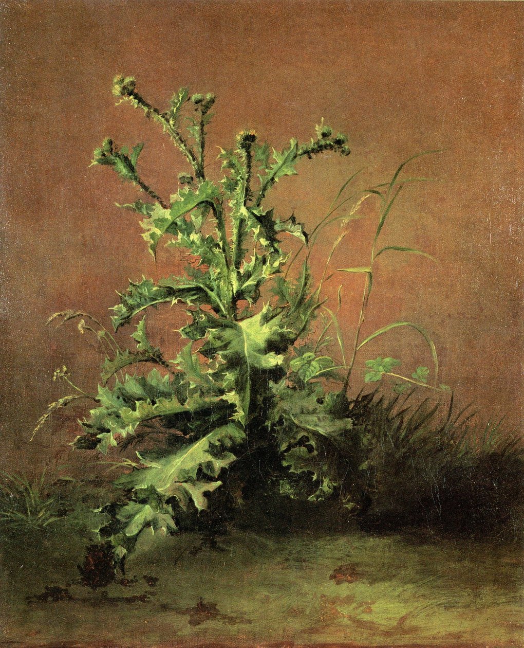Disteln von Édouard Manet