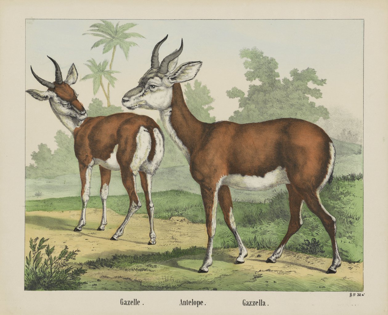 Gazelle von firma Joseph Scholz