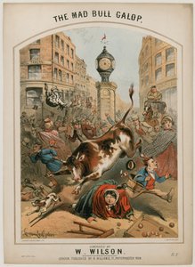 Der verrückte Stier Galopp