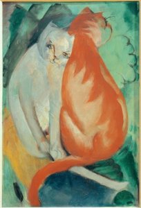 Katzen, rot und weiß