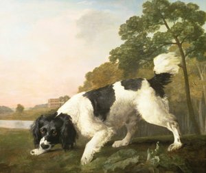 Ein Spaniel in einer Landschaft, 1771