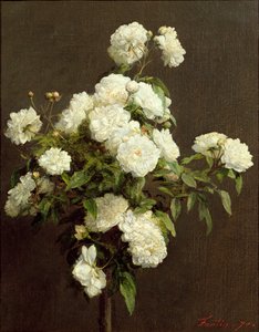 Weiße Rosen, 1870