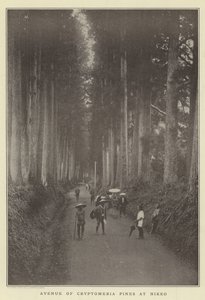 Allee der Kryptomerien in Nikko