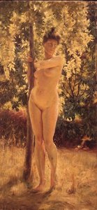 Weiblicher Akt unter einem schattigen Baum