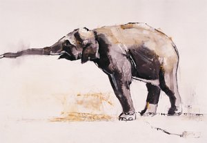 Indischer Elefant, Khana