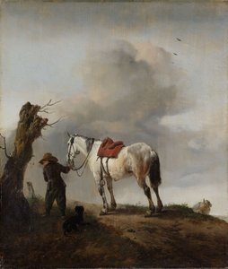 Das graue Pferd, ca. 1646