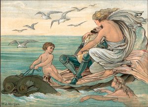 Cymoent und Marinell