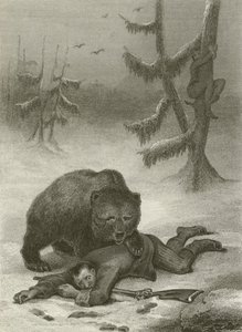 Der Bär und die zwei Gefährten