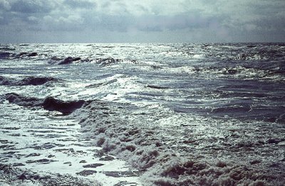 Am Baltischen Meer von Detlef B. Fischer