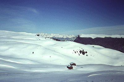 Schnee in den Alpen von Detlef B. Fischer