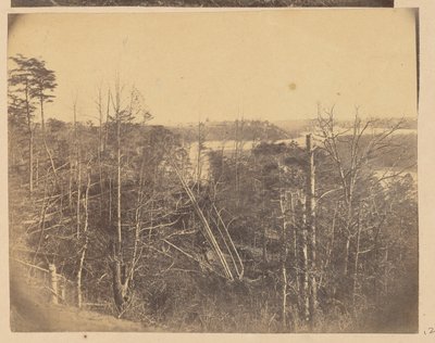 Landschaft mit Bäumen und Wasser von A.J. Russell