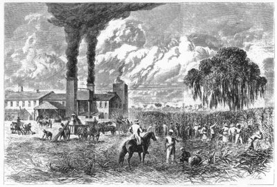 Zuckerplantage, New Orleans, 1870 von A. R. Ward