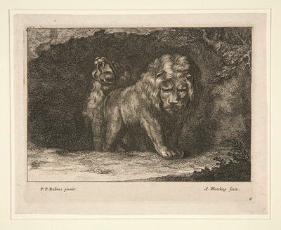 Löwen von Abraham Blooteling