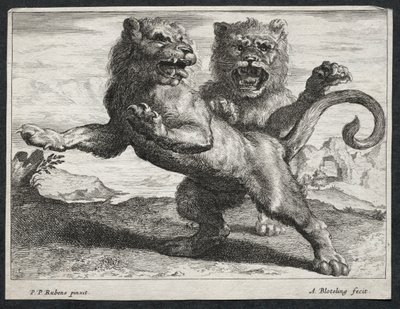 Verschiedene Löwen von Abraham Blooteling