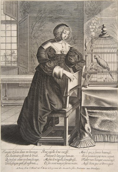 Der Papagei, 1620-76 von Abraham Bosse