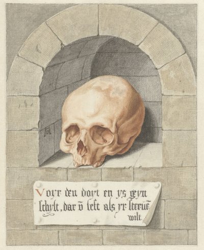 Schädel in einer Nische von Abraham Delfos