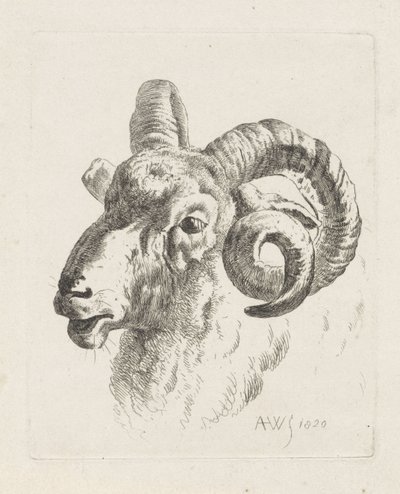 Widderkopf nach links von Abraham Hendrik Winter