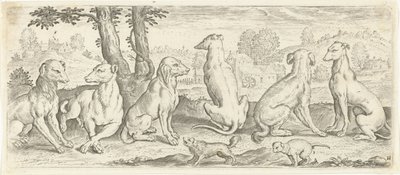 Hunde von Abraham de Bruyn (possibly)
