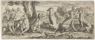 Hunde von Abraham de Bruyn (possibly)