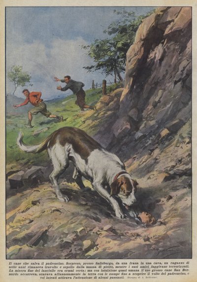 Der Hund, der den kleinen Besitzer rettet von Achille Beltrame