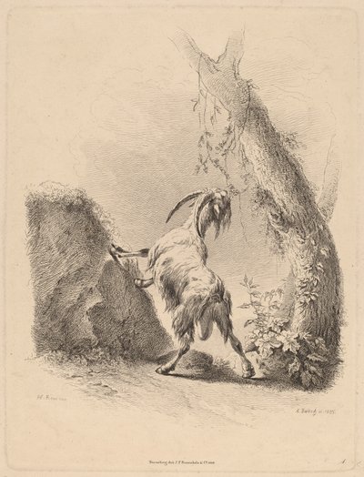 Ziege in einer Landschaft von Adam von Bartsch