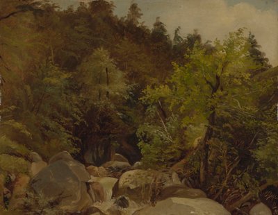 Wasserfall bei Ohlstadt von Adolf Heinrich Lier