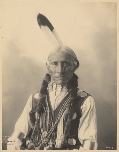 Weißer Büffel, Cheyennes von Adolph F. Muhr