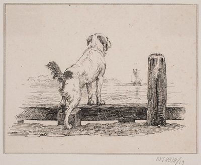 Hund am Strand von Johan Adolph Kittendorff