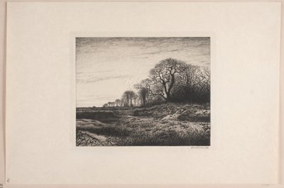 Februarabend von Adolph Larsen