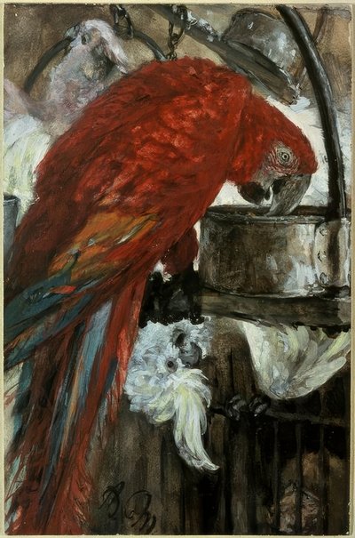 Ara und Kakadu von Adolph Menzel
