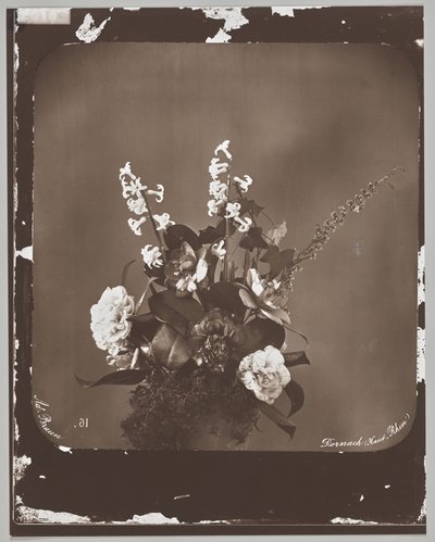 Ohne Titel (Blumenarrangement) von Adolphe Braun