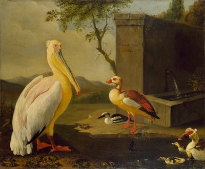 Orientalische Vögel, 1683 von Adrian Coorte