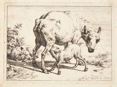 Schafe und zwei Lämmer von Adriaen van de Velde